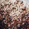 Mapillai Samba Organic Rice